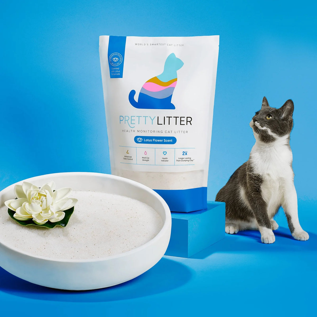PrettyLitter Lotus Scented Cat Litter