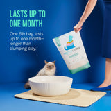 PrettyLitter Aloe Scented Cat Litter